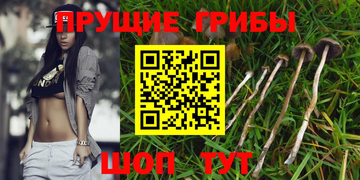 Новосибирск  Галлюциногенные грибы мухоморы  Вход с VPN 