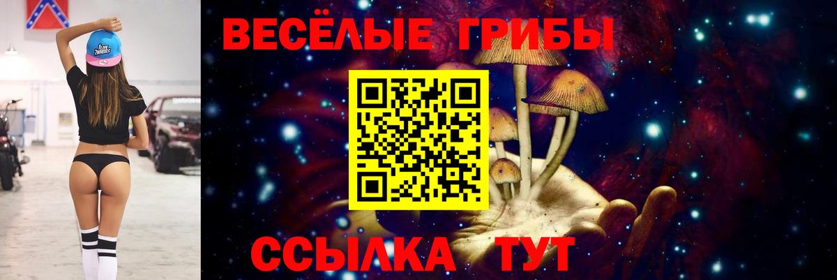 Псилоцибиновые грибы Cubensis Новосибирск